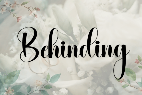 Behinding Font: Elevating Digital Brand Visuals