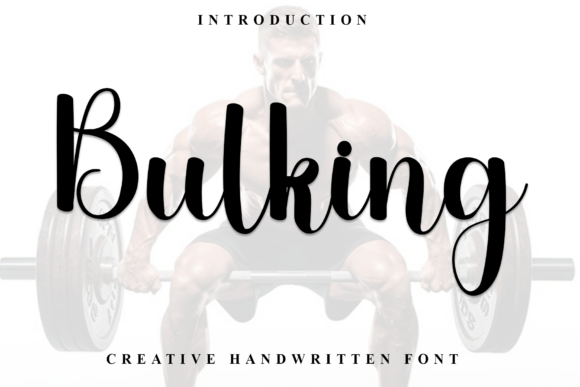 Bulking Font: Adding Holiday Charm to Business Branding