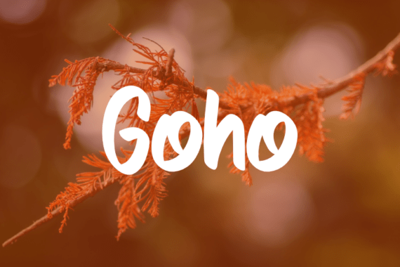 Goho Font Review: Elegant Typography for Editorial Design