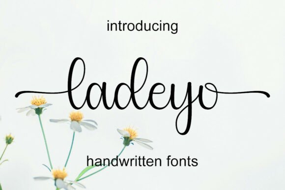Ladeyo Font: Elegant Script for Handmade Labels