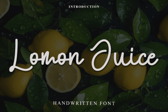 Lomon Juice Font Review: Festive Typography for Branding