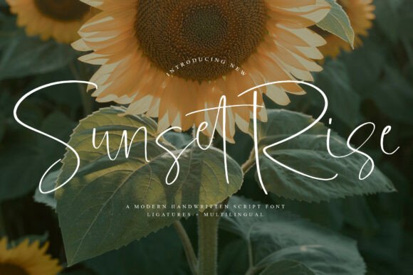 Sunsetrise Font: Elevating Brand Identity with Elegant Script