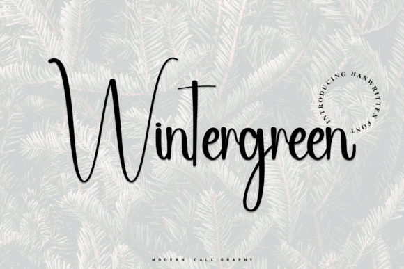 Wintergreen Font: Elegant Script for Small Business Branding